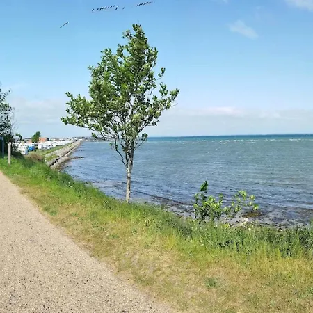 8 Person On A In Bogense