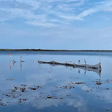 8 Person On A In * ボーゲンセ