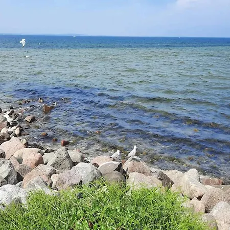 8 Person On A In アパート ボーゲンセ