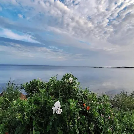 アパート 8 Person On A In *