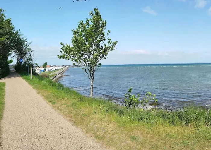 8 Person On A In Bogense