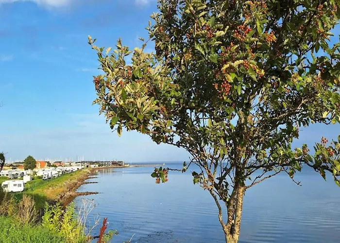 8 Person On A In Apartman Bogense