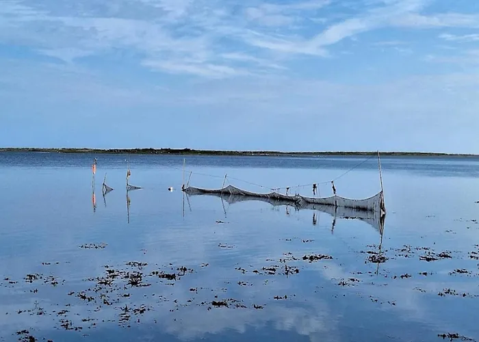 8 Person On A In * Bogense