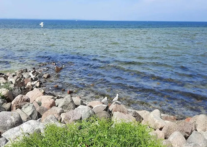 8 Person On A In Apartman Bogense