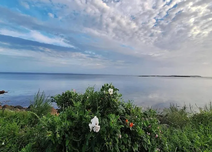 Apartman 8 Person On A In *