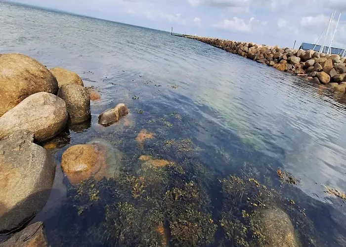 8 Person On A In Apartman Bogense