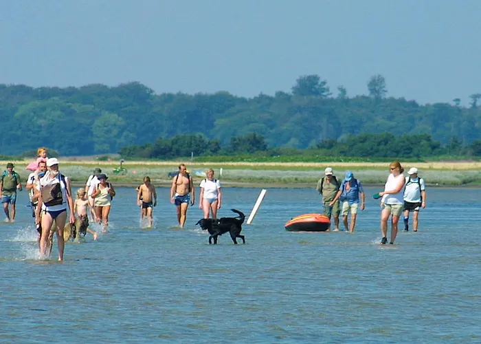 Apartman 8 Person On A In *